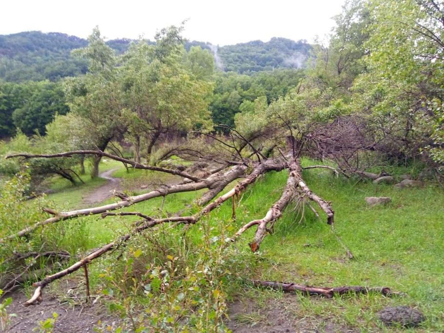 艾普约德加卡Atico En Pleno Pirineo公寓 外观 照片