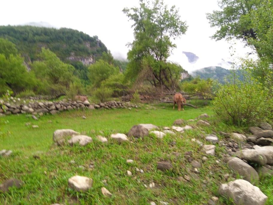 艾普约德加卡Atico En Pleno Pirineo公寓 外观 照片